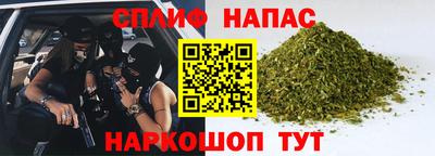 шишки Аргун