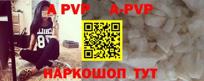 шишки Аргун