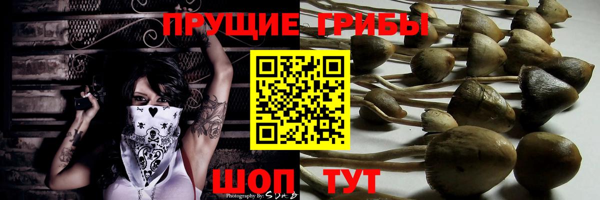 Артёмовский  Галлюциногенные грибы мицелий  Вход с VPN 